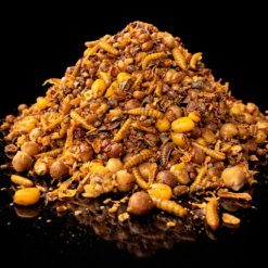 Insect Power Mix - Plus Flavour